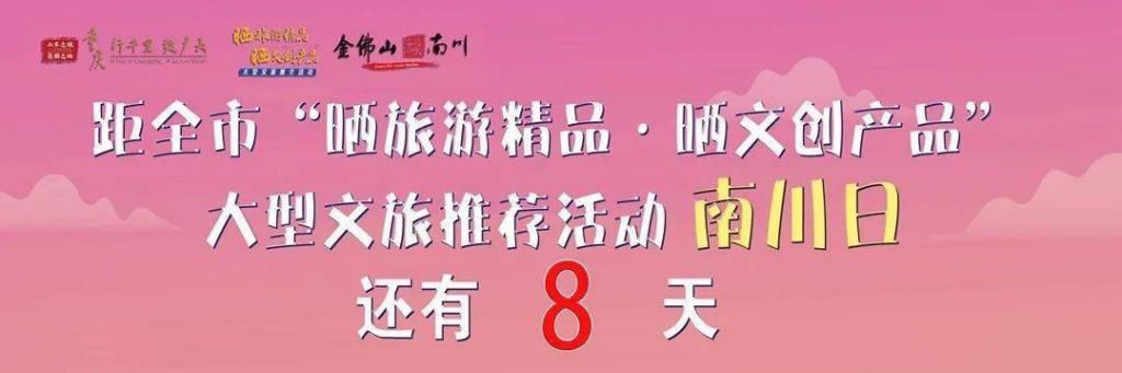 任性|整治︱不要太任性!再占道经营是不行的哟!