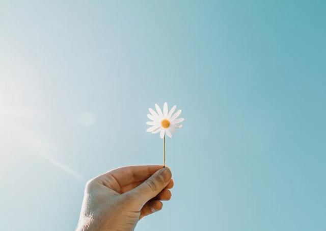 男孩|家有男孩，这句话一定说过，杀伤力有多大？