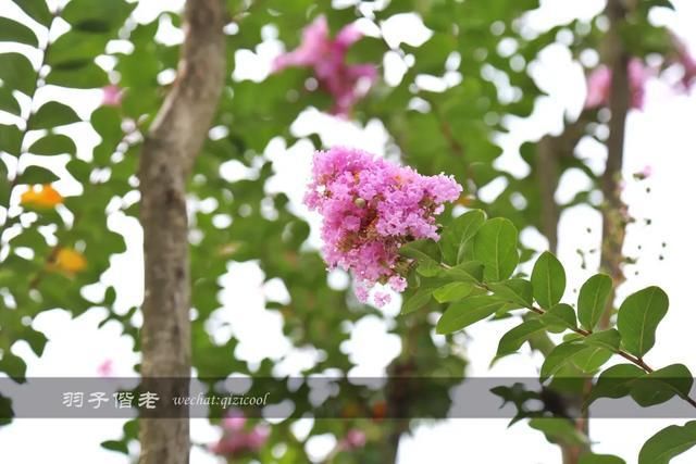 仙气|穿上汉服穿越时空，这个葛仙村果然有“仙气”