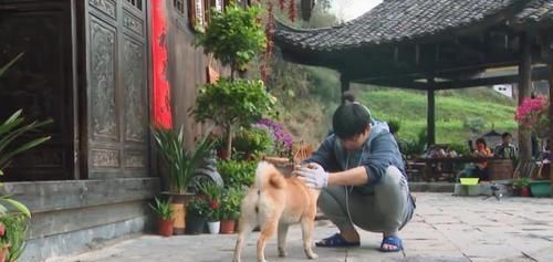  何老师|小O做坏事被黄磊吐槽，有谁注意何炅对小H说的话？堪称爱情宝典！