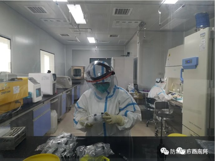 标本制备|探秘!家医院的核酸检测实验室投入使用后……