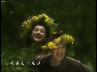 杀到|黄磊这一波的回忆终于杀到了我