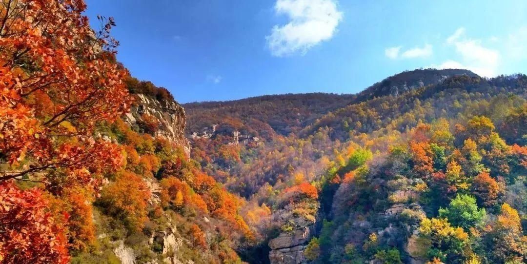 空中画廊|万山红遍!河北12个绝美秋景,邯郸的是这里!