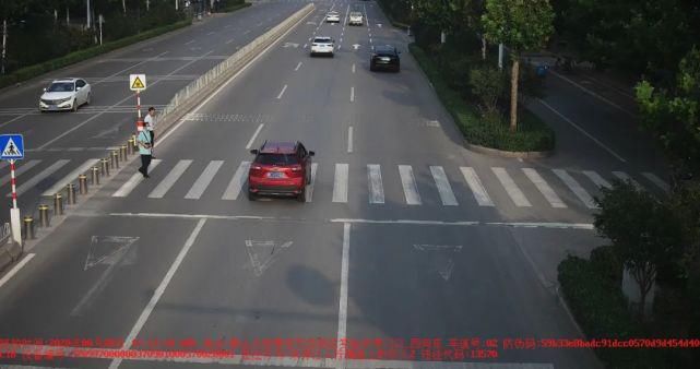 泰安|鲁JM2**3、鲁JJ0**7、鲁J62**N……泰安这15辆车被曝光!