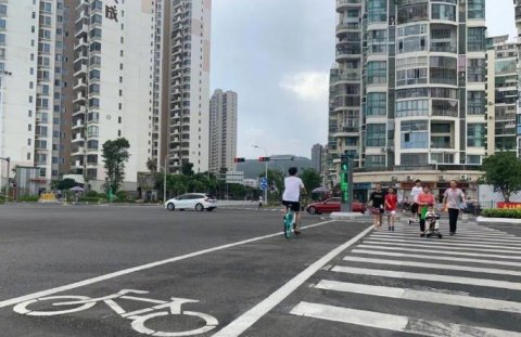 人车|厦门部分路口现“人车分离”斑马线 过马路时人车“各行其道”
