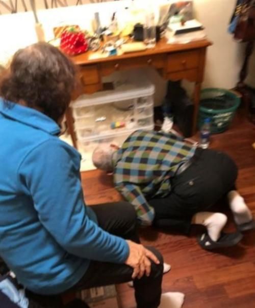  反对|老鼠就是脏，爷爷奶奶坚决反对养仓鼠，没多久竟趴在地上偷窥