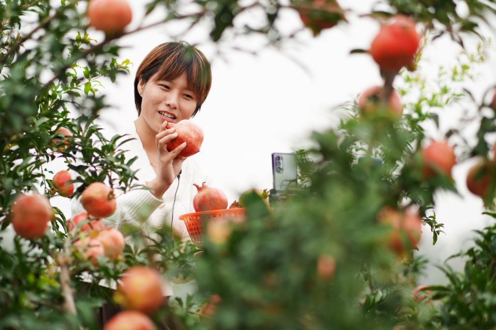 透视|流动中国折射复苏新气象——透视“十一”黄金周