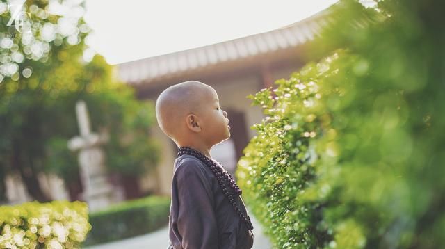 别人|好人没好报,原因有这几个