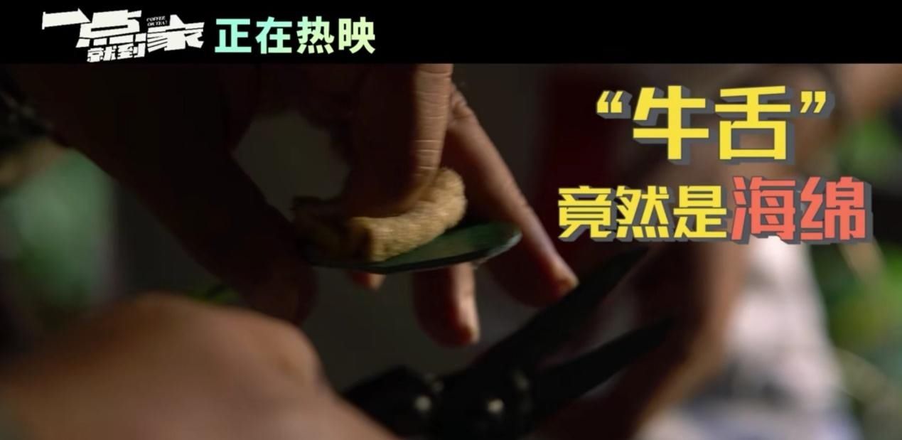 海绵|刘昊然被牛舔太爆笑，牛舌头原来是海绵做的，本人：我不干净了