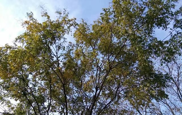 未来|未来农村将会有这两大变化