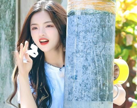  嘉宾|《中餐厅》女嘉宾合照曝光，李浩菲卖萌，赵丽颖慈母笑，谁注意杨超越