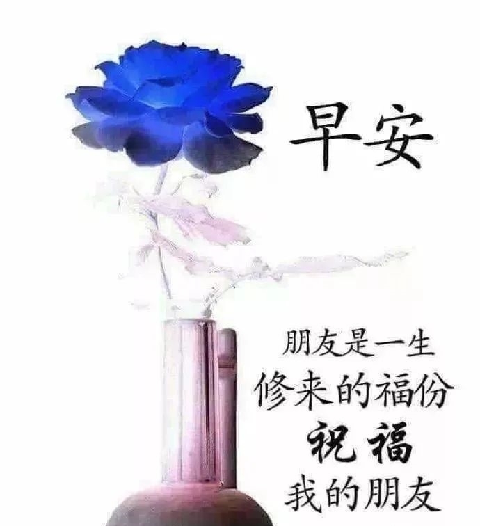 早上开心快乐|2020早上好动态图片精选：在疼爱你的人面前，你永远都只是个孩子