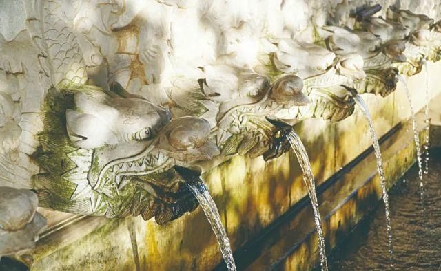 生长|云之南，一个生生不息、万物生长的地方