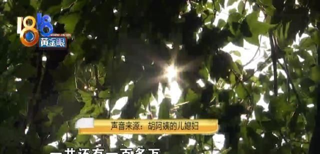  急坏|儿子车祸躺在医院，婆婆急坏：拿着理赔款的儿媳找不到了