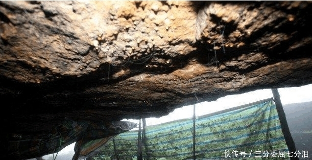 洞穴|中国妇女被遗弃在洞穴内两年之久