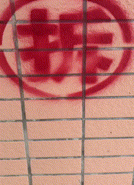 GIF|搞笑GIF:在外面抓了一只鸡,你们看是红烧好,还是清炖呢!