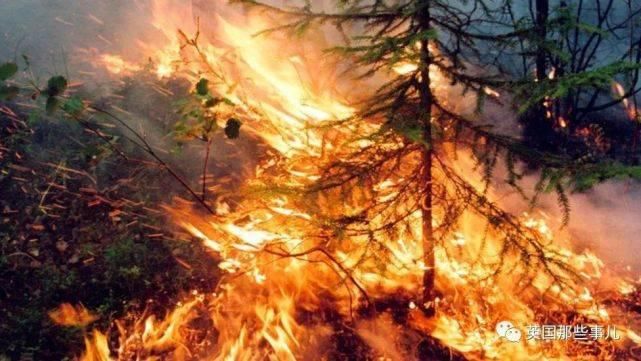  北极地区|“全世界最冷小镇”今年夏天气温飙到38℃！灾害频发，北极圈不好过了！