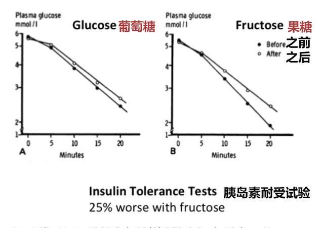 研究|清华最新研究：果糖“有毒”，扔掉果汁，少吃水果吧