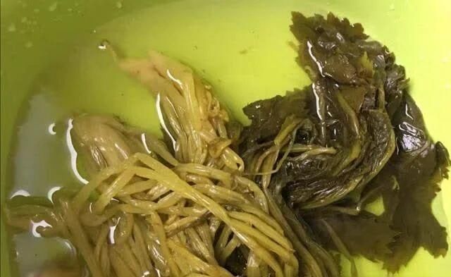 地方|咸菜又没营养又对身体有害,为什么还有那么多地方腌咸菜?