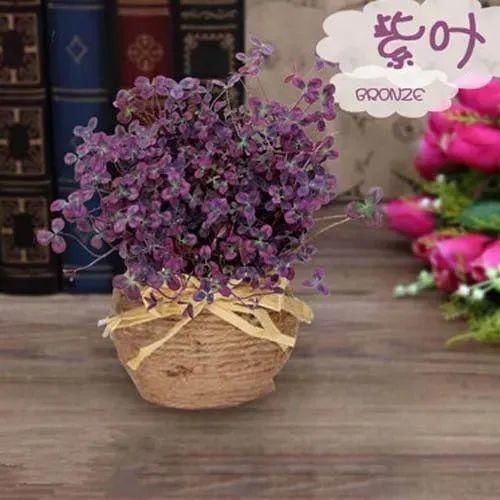 变异|这花被人工培育了，叶子变异后，可以这么美！