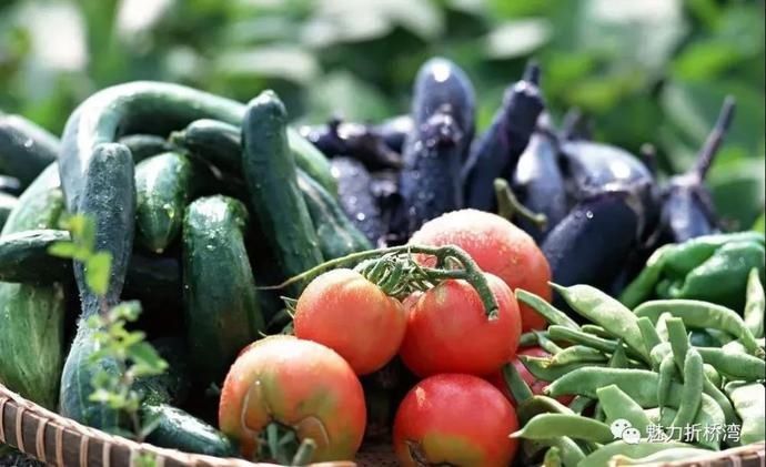  诗意|你与李子柒的诗意生活，只差一个“慈王农庄”！