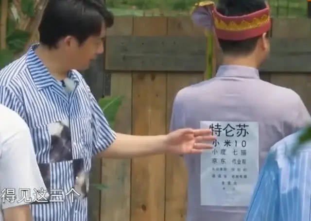  看不下去|《向往4》广告植入太频繁，黄磊都看不下去了，难怪评分下降