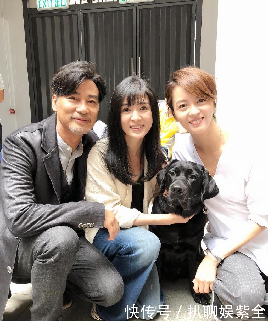  迟暮|美人不迟暮！杨采妮的图集