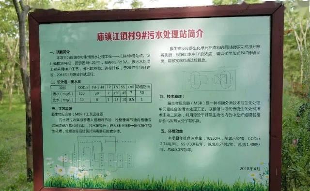  陈家镇花|济向山海 | 与水结缘，丈量生态文明建设之路！