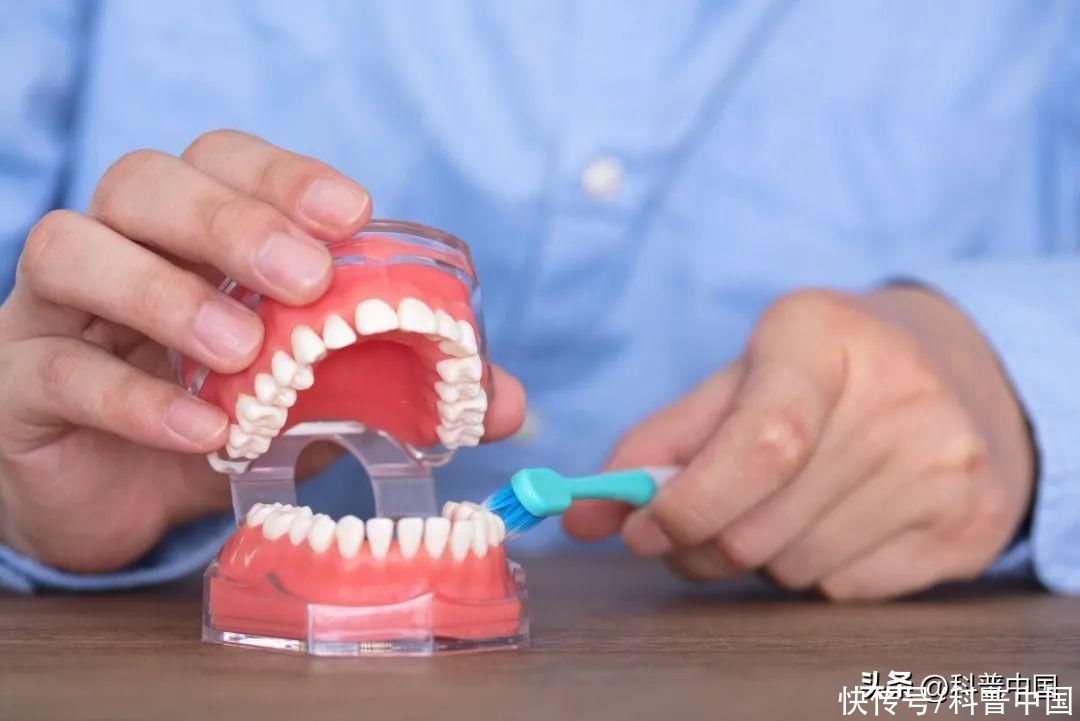 为什么感觉不经常刷牙反而很好(为什么每天晚上都得刷牙，不刷行不行？)