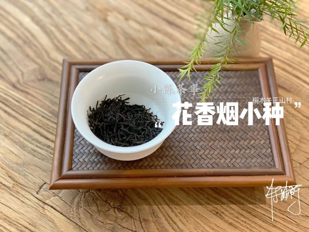 传统|从老丛红茶、烟小种到花香小种，这款红茶代表了传统小种的定义