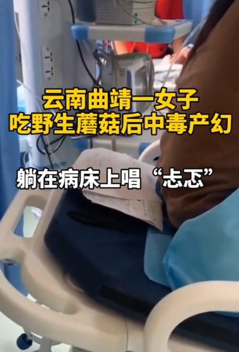  小精灵|不要作！致死率80%！为看“小精灵跳舞”，有人跃跃欲试，卖家急了