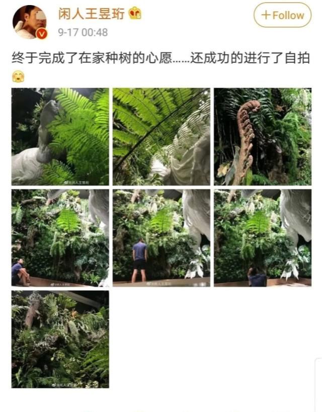  极限挑战|《最强大脑》水哥被扒私养国家二级保护植物，专家否定人工繁育