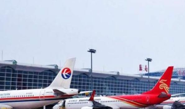  国际机场|赏樱不用去日本，中国这个地方，樱花开的一点也不比日本差！