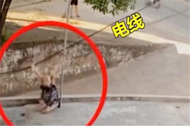 称赞|小女孩玩耍时意外触电,路过孕妇搭救,被称赞:教科书式的反应