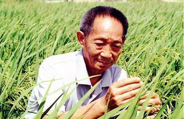 悲哀|对英雄大加指责，将网红视为偶像，价值观扭曲的背后是社会的悲哀