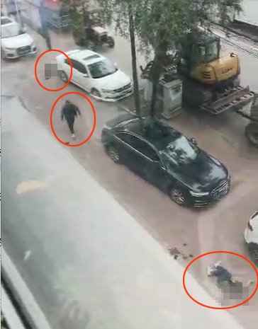  哈尔滨|哈尔滨宾县民政局附近一男子刺死妻子及其姑夫，自杀未遂