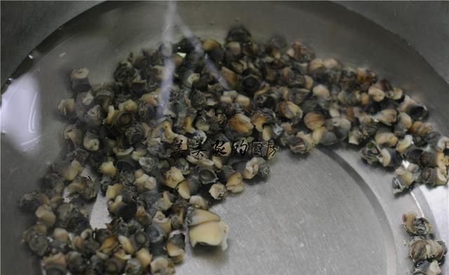 高呼|继小龙虾之后,又一“夜市霸主”产生,网友高呼:长得美营养还高