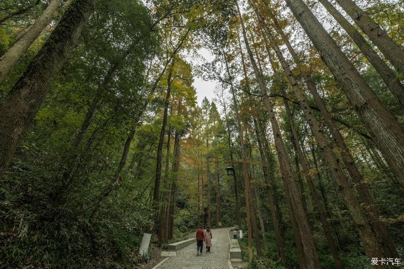  风光|畅游杭州杨梅岭，体验新颖的农家生活