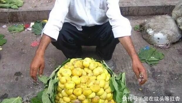 浑身|这种水果看起来像“小笼包”,当地人叫“糖包子”浑身脏兮兮的