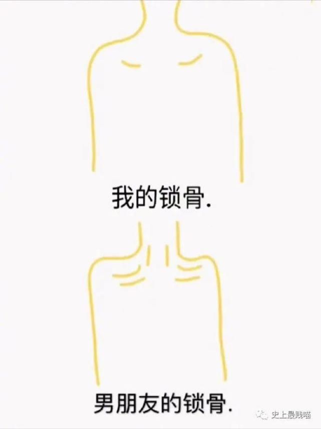  相机|老师，求求你别再用全景相机拍照了…笑趴了哈哈哈哈哈哈哈