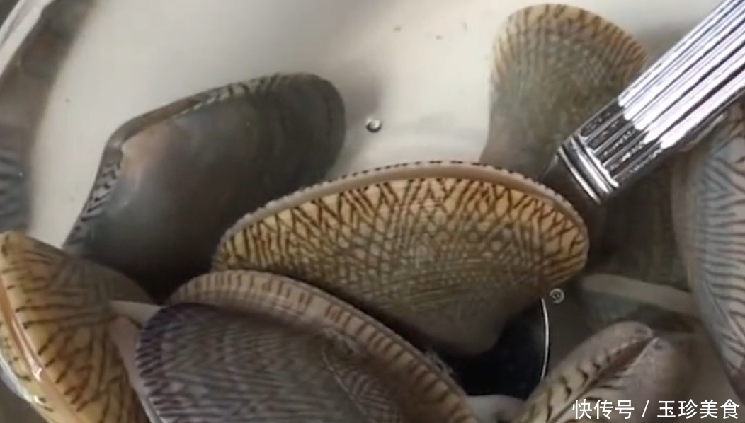 吐沙|花甲店老板透露:洗花甲时这么做,就会疯狂吐沙,拦都拦不住!