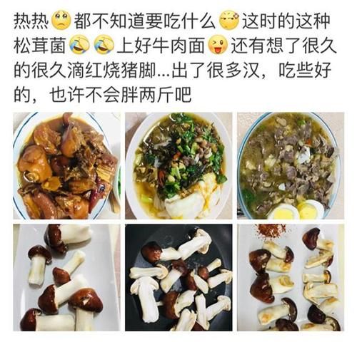  不忍心|看到好朋友晒出来的“松茸”，真的不忍心告诉他：你被骗了