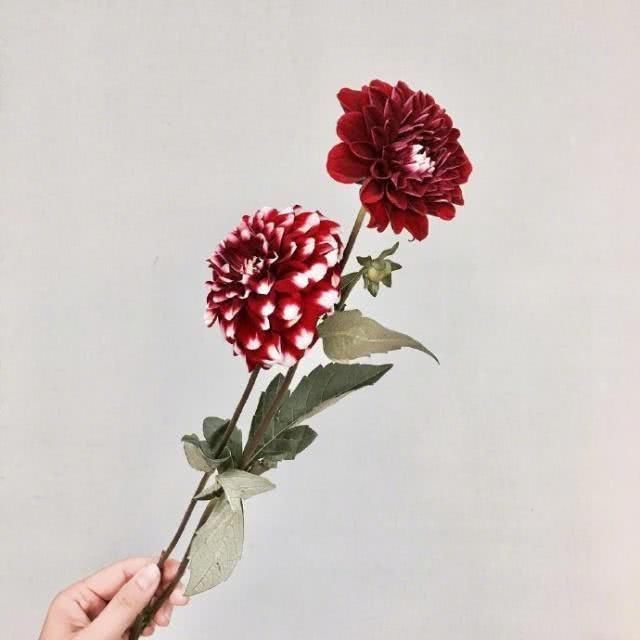 心语|简单干净的晚安心语，温暖治愈，你最喜欢哪句？