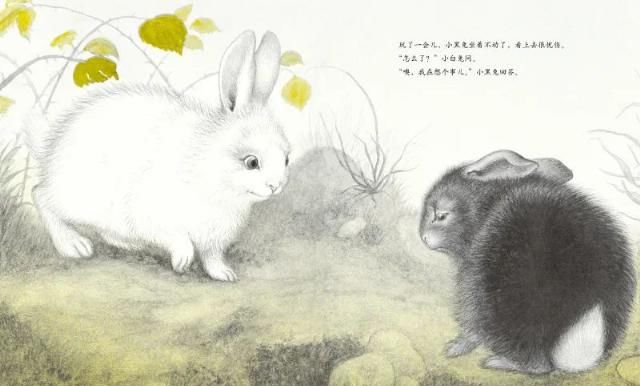 培养孩子|书单 | 杭州杀妻案曝光，“善良的种子”要在0-6岁时种下