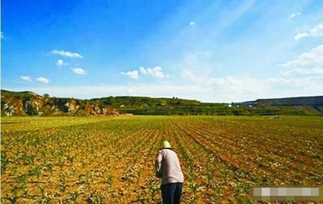  土地补偿|农村户口原籍有房有田地，现在原籍拆迁能享受安置吗？看完你就知道了