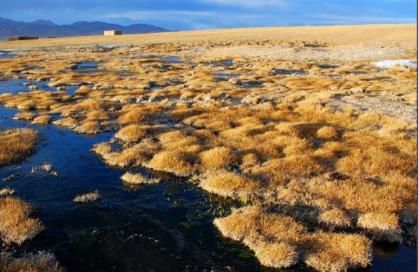 大学生|“青海失联女大学生”遗骸被发现:“诗和远方”以及家人都重要!