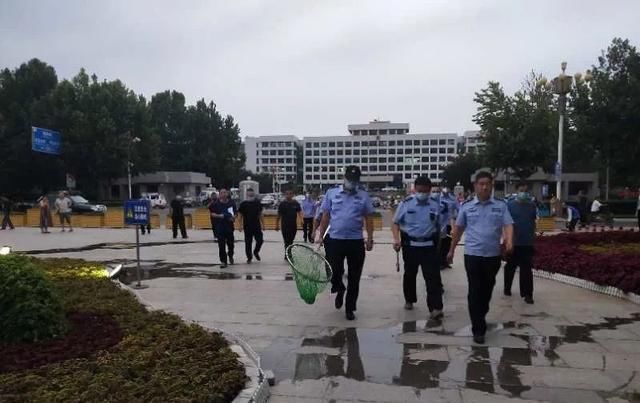 动物医院|严厉打击！我市3部门联合执法