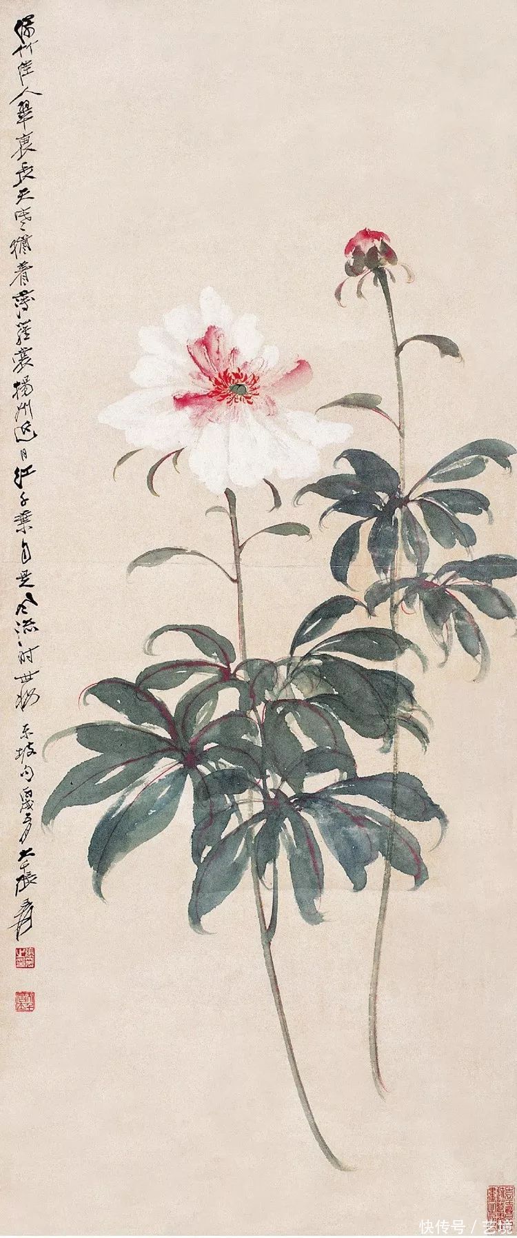 张大千花鸟画欣赏（100幅）