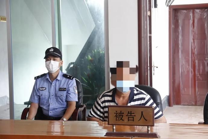 林木|砍伐自家林木也不行！浦城法院巡回法庭进村“说法”