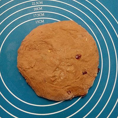 蔓越|巧克力蔓越莓软欧包